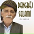 Dengbej Selami