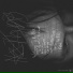 SLVTN