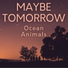 Ocean Animals
