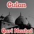 Qari Mashal