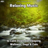 Soft Music, Relaxing Spa Music, Yoga