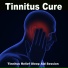 Tinnitus Sleep Aid