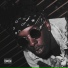 Slikk Wayne