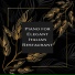 Jazz Piano Bar Academy