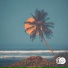 7&Nine, Jason Masoud