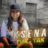 KSENA
