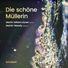 Martin Mitterrutzner, Martin Wesely