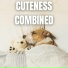 The Sleepy Sounds