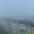 нольпричин