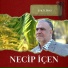 Necip İçen