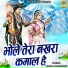 Sakshi Choudhary