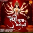 Vipin Sachdeva