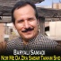 Baryali Samadi