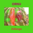 Ornu