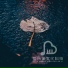 明月关飞雁