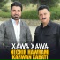 Nechir Hawrami, Karwan Xabati