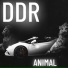 DDR