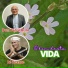 ZÉ VICENTE, DOM PEDRO BRITO
