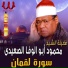 Al Sheikh Mahmoud Abo Al Wafa Al Seidy