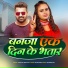 Vivek Rao, Shilpi Raj