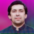 Wazir Pardes
