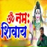 Sandeep Sunny