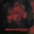 SNOWRIDERS