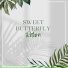 Sweet Butterfly