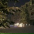 Violight