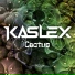 Kaslex