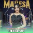 Ersa Amelia feat. Mahesa Music
