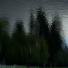 TreePeople