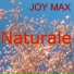 joy max