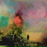 Sebastian Kamae, Sleepermane