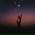 Deep Sleep Seekers