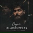 Milad Entezar