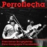 Perroflecha