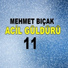 Mehmet Bıçak