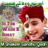 M Shakeel Sandhu Qadri