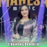 Ersa Amelia feat. Mahesa Music