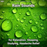 Calming Sounds, Rain Sounds, Nature Sounds