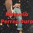 Perreo Brasileño