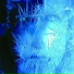Eyes of Shiva
