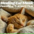 RelaxMyCat, Cat Music Dreams, Cat Music Zone