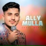 Adeel Meher