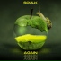 Soulk