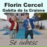 Florin Cercel feat. Gabita De La Craiova