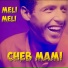 Cheb Mami