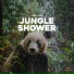 Panda Rain, Panda Sleep, Panda Music