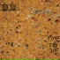 1.07 - The Dodos